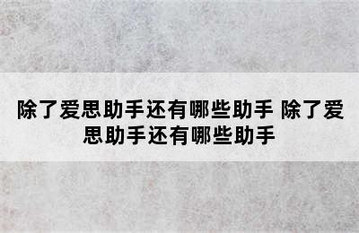 除了爱思助手还有哪些助手 除了爱思助手还有哪些助手